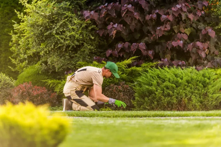 Lawn Maintenance Services Greenfield, Southeastern Wisconsin